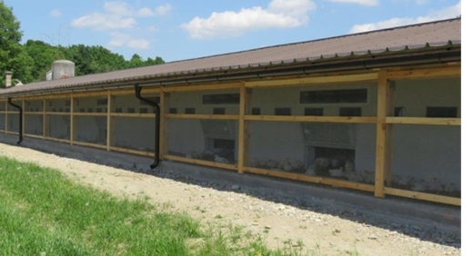 prijazna 01