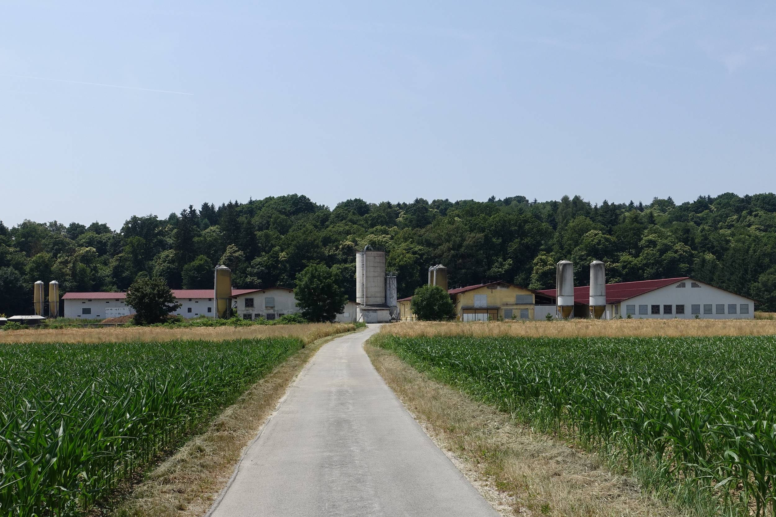 Šegula Peter in Šegula Pliberšek Petja